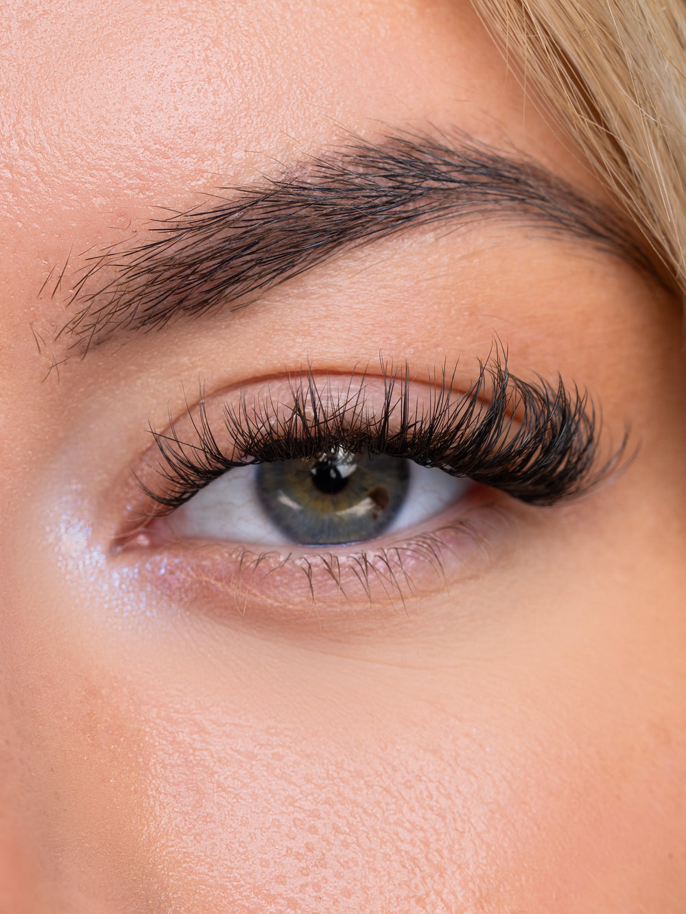 OBSESSED STARTER BOX - UNIVERSE