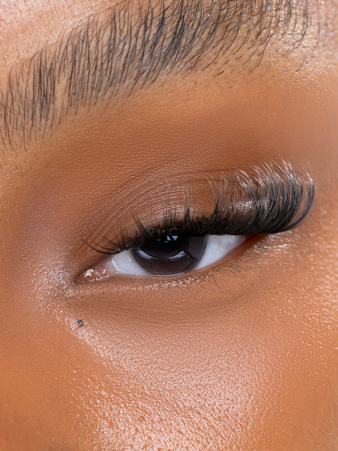 SASSY SAG - OBSESSED LASHES